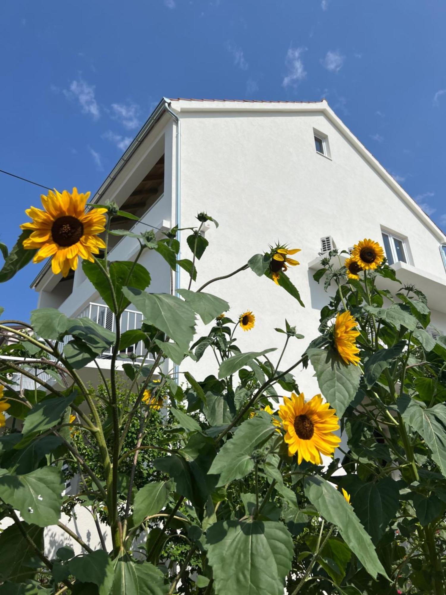 Apartments Nikola Stipisic Hvar Town Exterior photo