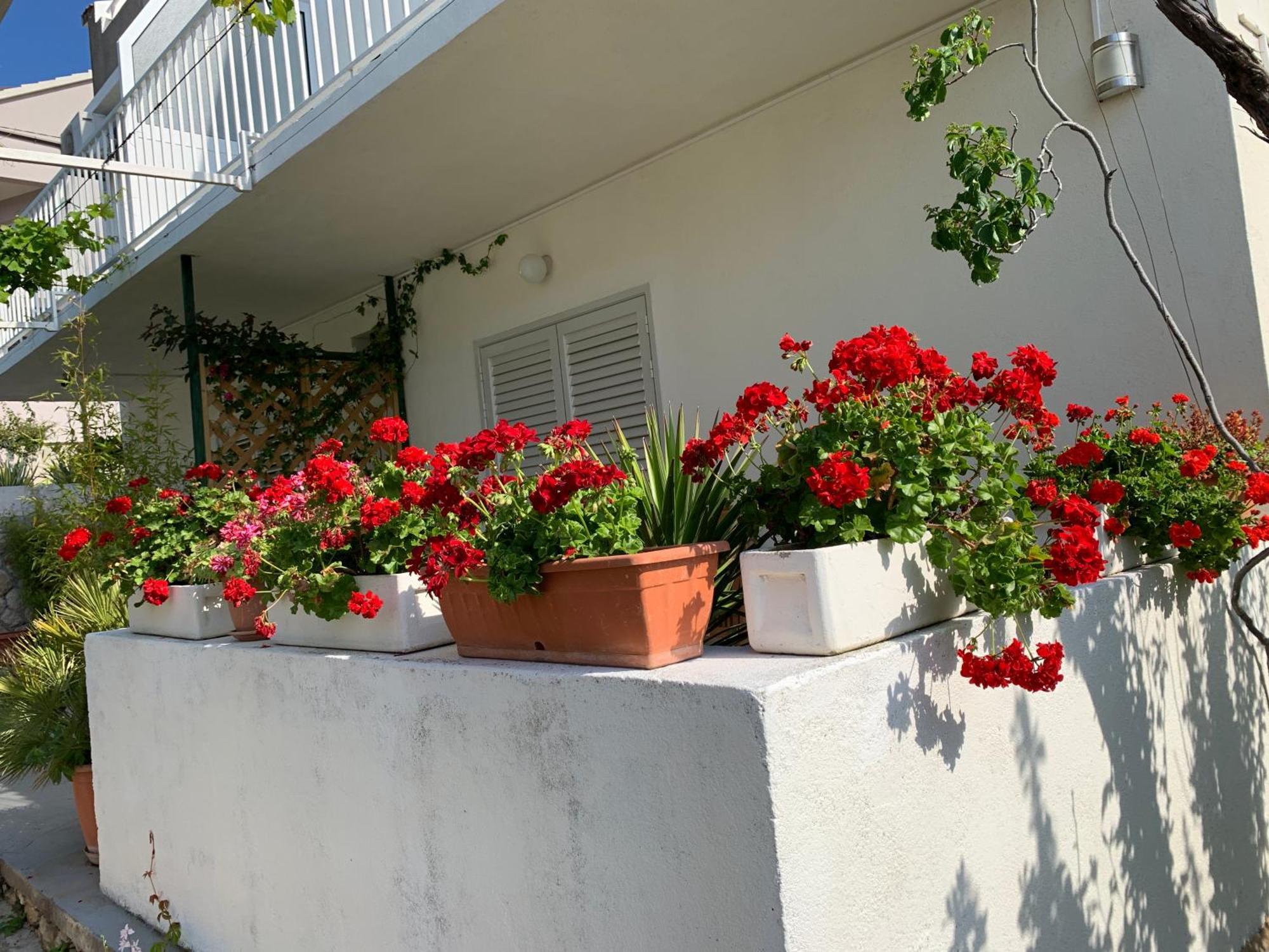 Apartments Nikola Stipisic Hvar Town Exterior photo
